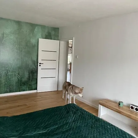 W Centrum Gdyni 80m2 Apartment